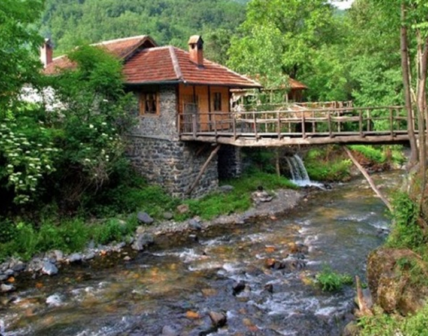 Gde jesti na Goču: Ribe, domaća kuhinja i lokalne tajne
