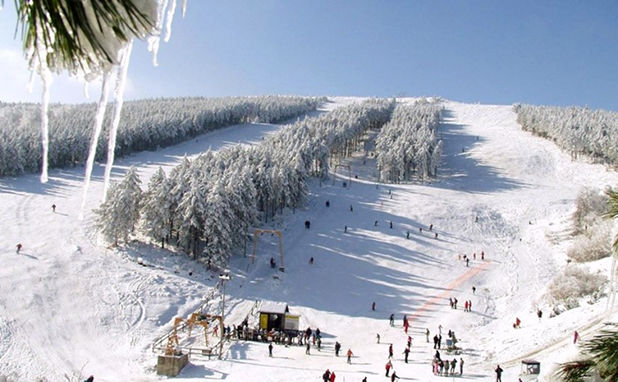 Zima na Goču: Skijalište, sneg i planinski ugođaj